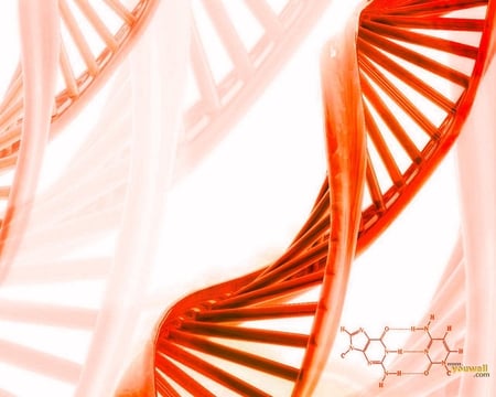 Orange Twist - twist, dna, curve, bars, orange, layers, rows