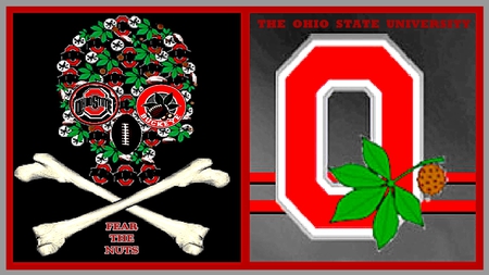 THE OSU FEAR THE NUTS - ohio, buckeyes, state, nuts