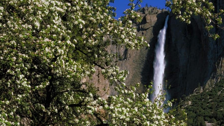 Yosemite national park California - yosemite national park, scenery, waterfall, spring