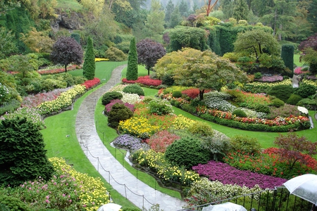 beautiful garden - nature, beautiful, flowers, garden, bushes