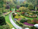 beautiful garden