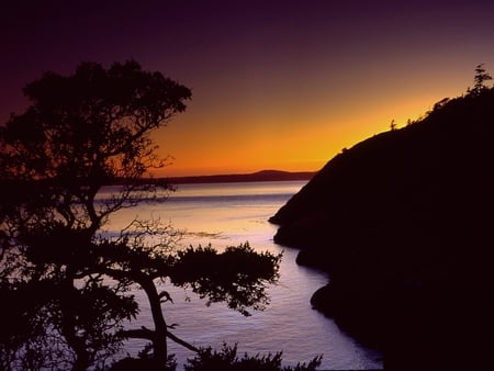 Anacortes-Fidalgo-Island - nature, sky, sunsets, tree, rivers, silhoutte