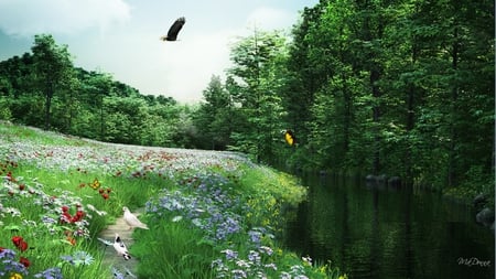 Meadow of Blooms - wild flowers, trees, summer, meadow, field, spring, doves, eagle, flowers, firefox persona, pond, birds