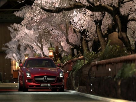 SPRING WITH MERCEDES - night, mercedes, car, spring