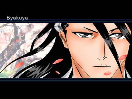 Byakuya - soul reaper, sanbone zakura, bleach, byakuya kuchiki