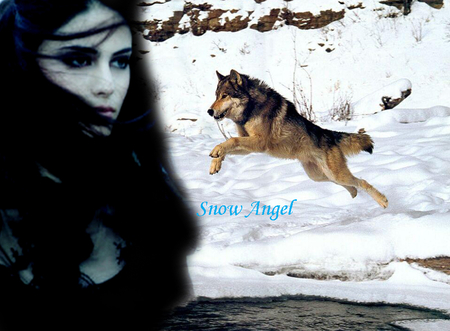 Snow hunt - white, woman, wolf, snow