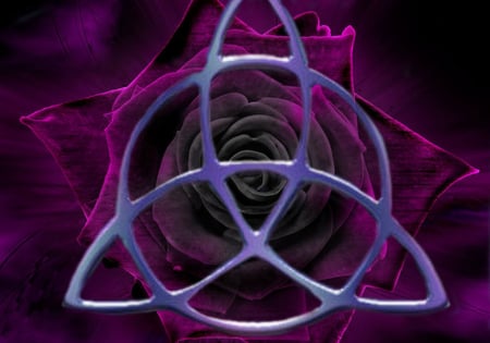 Purple roze - black, purple, roze, pentagram