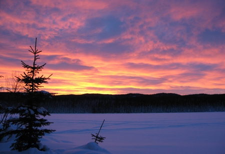 winter sunset - winter, tree, sunset, hills