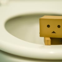 danbo in toilet