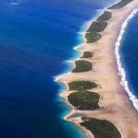 Exotic Island