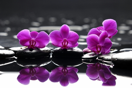 petite beauty - stone, beauty, photography, water, black, rocks, relaxing, nature, purple, pretty, reflection, pink, spa, flowers, flower, zen