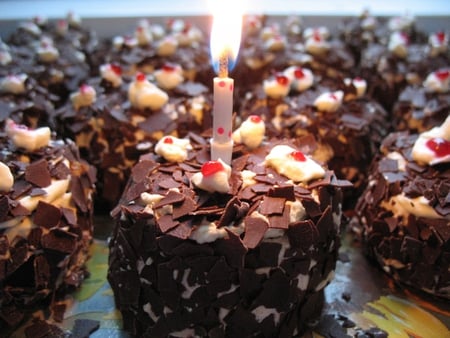 black forest cake - sweets, celebrate, candle, yummy, delicious, brownie, fire, celebration, flame, cake, birthday, food, chocolate, happy