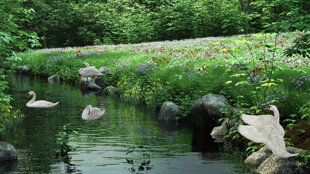 Swans Serenity - trees, summer, creek, spring, meadow, love, firefox persona, swans, green, wild flowers