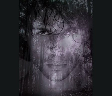 You haunt my soul - trees, purple, mist, haunting, face, forest, man