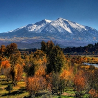 Autumn-forest-and-mountain