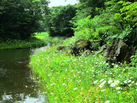 Lakeview - flowers, lake, tree, trail