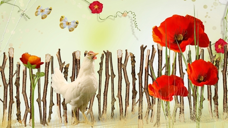 Hen and Poppies - flowers, ranch, abstract, chicken, farm, butterflies, poppies, fence, hen, fun