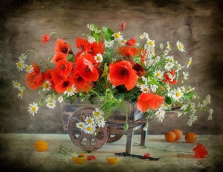 still life - pretty, key, elegantly, poppies, photo, flowers, apricot, chamomile, red, old, plum, fruit, nice, poppy, beautiful, photography, beauty, lovely, cool, still life, flower, bouquet, harmony