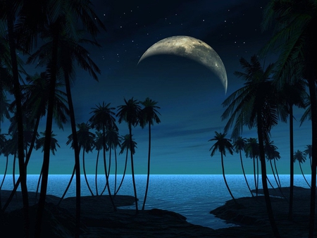 Blue night - moon, sea, night, palm