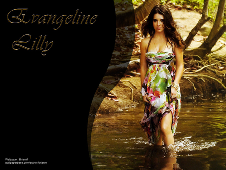 Evie - evvangeline lilly, kate, water, tv series, lost