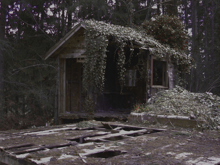 Decaying tiny house and large deck - deep woods, one-room house, near lake, decay