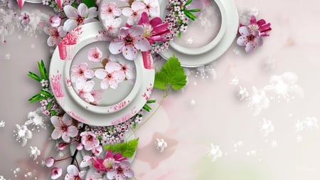 Wild Cherries - blooms, summer, cherry, transparent, spring, sakura, blossoms, pink, flowers, firefox persona, shadow