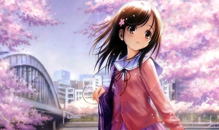 Sakura anime - flower, japan, pink, sakura, anime