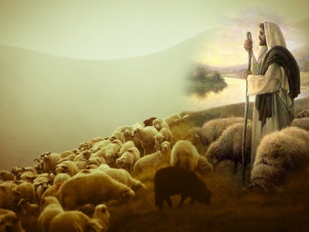 Jesus good shepherd - christ, jesus, shepherd, sheep, religion, christianity, god