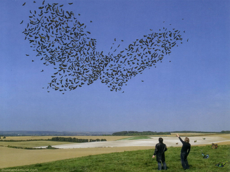 Butterfly - human, sky, 3d, butterflies