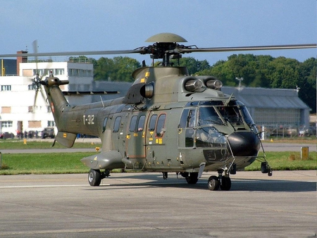 PUMA HELICOPTER - aircraft, helicopter, green, puma