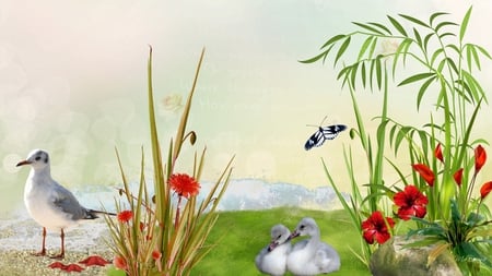 Beach Birds and Flowers - ducks, plants, star fish, sea bird, firefox persona, flowers, beach, grass