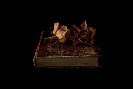 Memories - dairy, dry roses, memories, still life, old