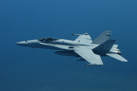 McDonnell Douglas F-18 Hornet - f 18, united states air force, us navy, united states navy, us air force