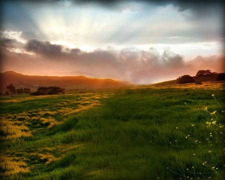 Grassy Glow - ray, green, sun, set