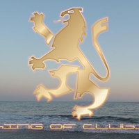 gatecrasher
