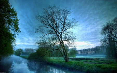 river side tree - nature, tree, outdoors, river