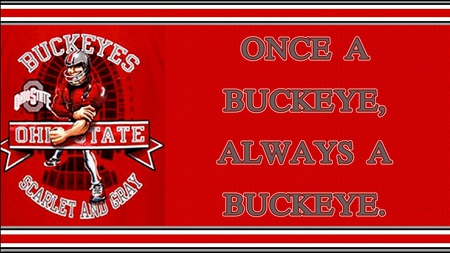 ONCE A BUCKEYE, ALWAYS A BUCKEYE. - ohio, buckeye, football, state