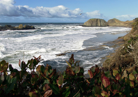 The beach - hills, water, nature, beaches, sea, rocks