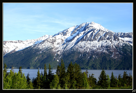 forest by the mountains - sky, lake, forest, mountains, water, trees, nature, snow