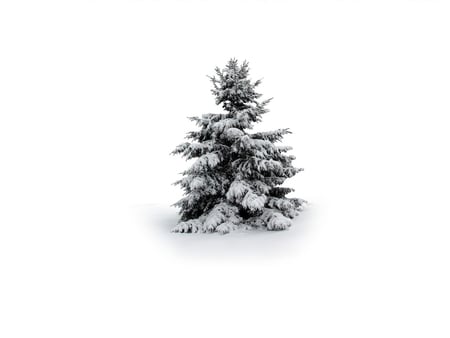 all alone am i  !!!!! - all alone am i, spruce, snow, tree, wallpaper