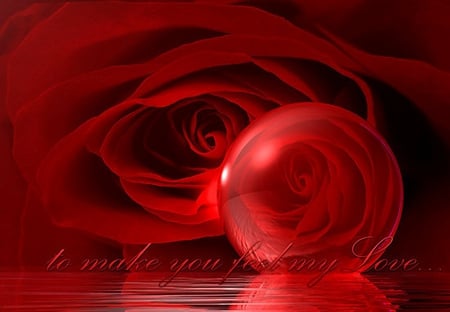 FOR MY LOVE - love, beautiful rose, beautiful feeling, feeling, water, tenderness, missing, ball, rose, amazing, reflection, my love, red beauty, flower, red rose