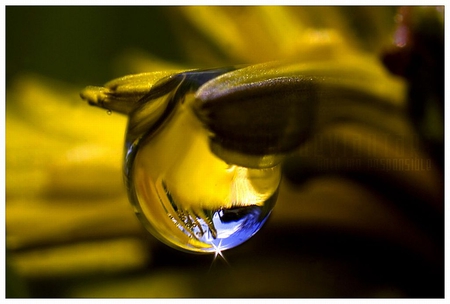 Water Drop - drop, picture, water, cool