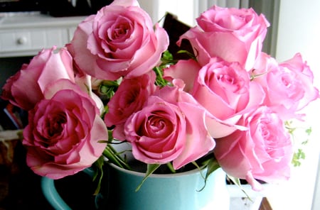 pink roses - roses, blue, jag, pink, still life