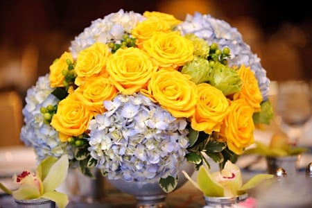 Luxury - luxury, yellow, forever, sunshine, party, flowers, wonderful, magnificent, nature, purple