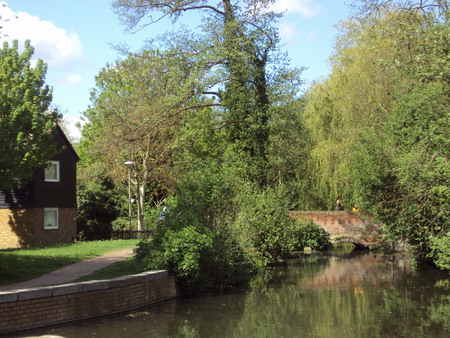 Peaceful River Scene - river, trees, water, bridge