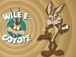 the coyote wile e.