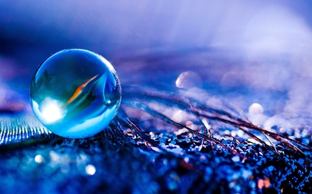 a drop of blue - pretty, abstract, blue, photography, macro, closeup