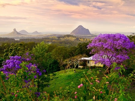 Landscape - pretty, amazing, splendor, landscape, grass, spring, forest, flowers, purple, view, houses, cottage, sky, woods, clouds, house, trees, beautiful, beauty, colors, lovely, tree, colorful, nature, green, mountains, peaceful