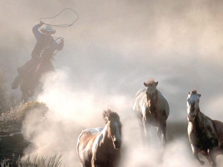 The_Great_Roundup - animal, horses, cowboy, run