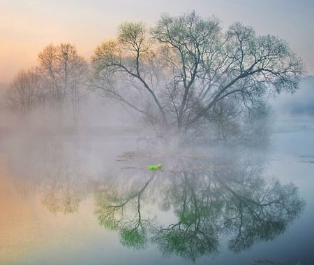 Mist on the river - reflections, dawn, river, trees, water, stillness, mist